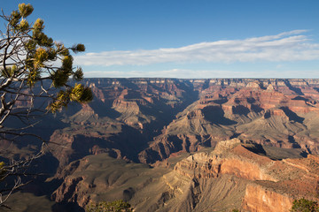 Canyon im Hintergrund