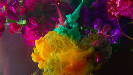 Interaction of colors and roses in water © geniusstudio