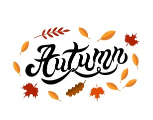 Autumn. Hand drawn lettering. Vector illustration. Best for Autumn design.