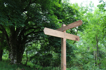 Wooden signpost in the woods