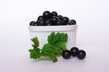 Currant. Black currants in a white ceramic cup on a white background.