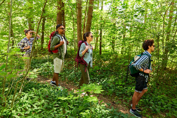 Naklejka na ściany i meble travel, tourism, hike and people concept - group of friends walking with backpacks in forest