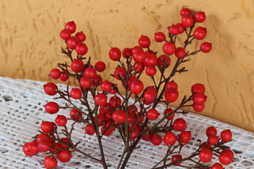 The fruits of the domestic nandina are bright red berries of 5-10 mm of diameter which ripen in late autumn and generally persist throughout the winter.