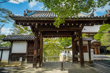 京都 知恩院　夏の景色