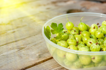 ripe appetizing gooseberry on natural wooden background, shot with natural sunlight. Green striped gooseberry in transparent container