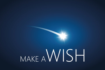 make a wish with falling star in the sky vector illustration EPS10