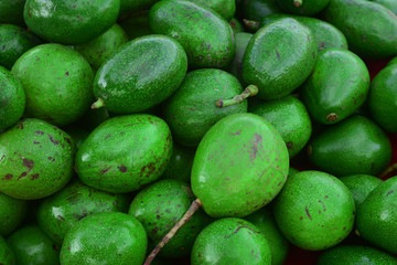 the green pile of avocado for sale at the fresh market in Thailand