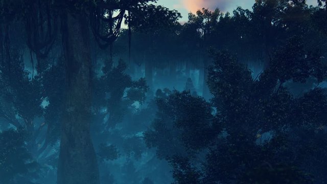 Flight through a magical forest