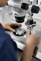 Process of in vitro fertilization in laboratory