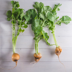 ugly radish food on a white background