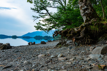 Pebble beach with trees and tree roots exposed hanging above the pebbles with lake and mountains in the second plan - Keswick, Lake District, United Kingdom