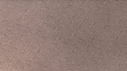 Cracked Mud Texture