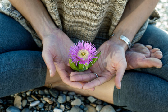 Beach flower zen meditation hands. 