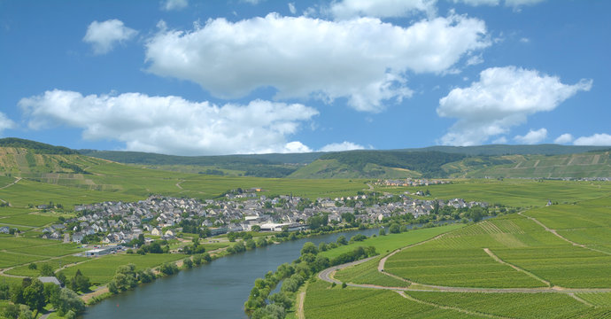 Blick auf den Weinort Leiwen an der Mosel im Moseltal,Rheinland-Pfalz,Deutschland