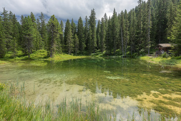 Alpenwelt