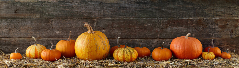 Various pumpkins on stack of hay or straw