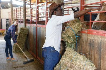 Couple of farmers working at stable