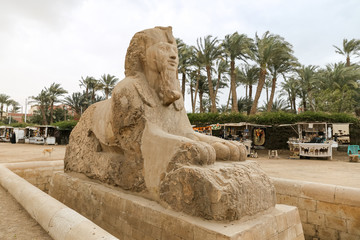 Sphinx in Memphis, Cairo, Egypt