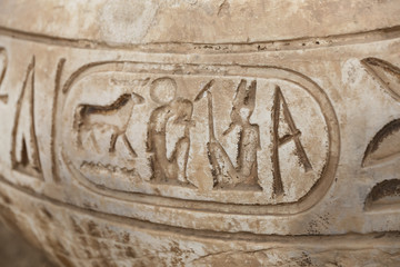 Pharaoh Cartouche in Memphis, Cairo, Egypt