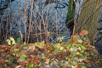 Am Schlachtensee Berlin