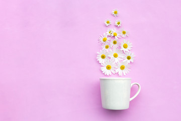 White cup of hot tea with chamomile flowers on on a pink background, mug of aroma healing drink