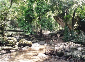 naturaleza