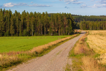 The curved country road through fields with green and dry grass surrounded with the dense pine forest, North Sweden
