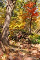 Wisconsin ice age nature background. Autumn scenic view with rocky hiking trail between colorful trees in the forest at Devil’s Lake State Park, Baraboo area, Wisconsin, Midwest USA.