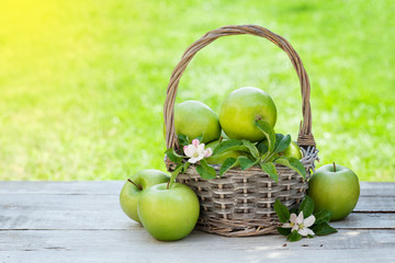 Fresh garden green apples in basket