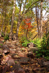 Wisconsin ice age nature background. Autumn scenic view with rocky hiking trail between colorful trees in the forest at Devil’s Lake State Park, Baraboo area, Wisconsin, Midwest USA.