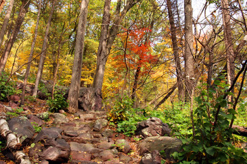 Wisconsin ice age nature background. Autumn scenic view with rocky hiking trail between colorful trees in the forest at Devil&rsquo;s Lake State Park, Baraboo area, Wisconsin, Midwest USA.