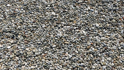 Sfondo con ciottoli di mare multiformi 