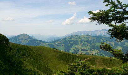 Foto op Canvas Beautiful alpine landscape with green meadows, alpine cottages and mountain peaks, Alpinolino, Westendorf Tyrol Alps, Austria © Milos