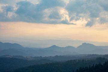 Sunset in the mountains. Forests and white clouds in the sky_1