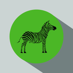 Obraz na płótnie Canvas Animal vector illustration. Wild african zebra. beauty nature in vector design. Good for brand logo, wallpers, background, zoo ads. Simply and trendy flat silhouette graphic. From nature set. 