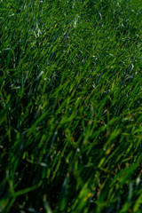 Obraz premium Landscape from anatolian steppes