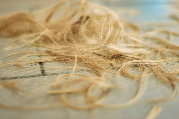 Trimmed blond hair on the parimmecher's floor.