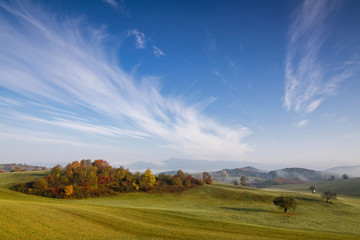 Fototapeta premium Fall in Slovakia. Meadows and fields landscape. Autumn color trees at sunrise.