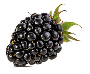Fresh blackberry isolated on white background with clipping path
