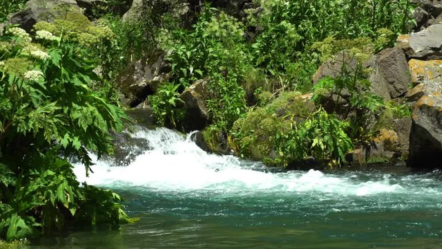 Mysterious mountainous jungle with trees bent over a rapid stream with rapids. Magical landscape of rainforest and river with rocks. . Georgia, Dashbashi.