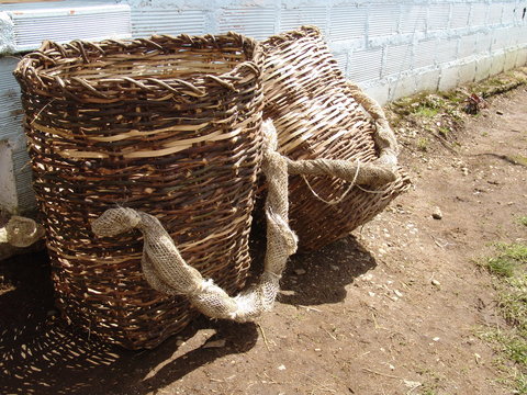 canastas