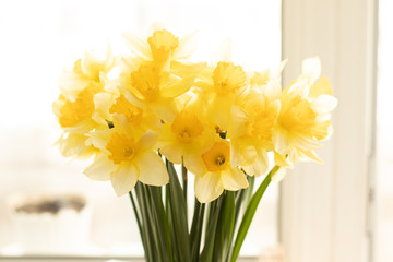 Posy of bright yellow daffodils on white table with copy space