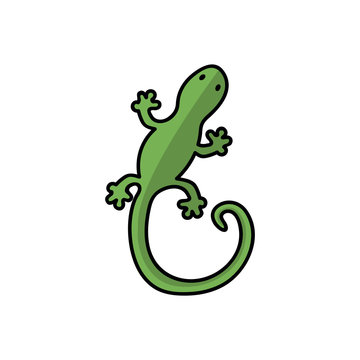Gecko vector illustration isolated on a white background. lizard icon