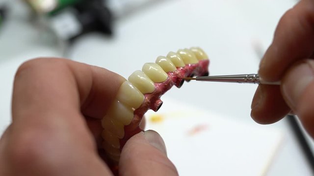Artificial Denture Close Up. Dental Techician Working on Prostethic and Applying Color