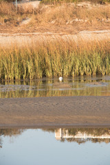 St Simon Island, Georgia