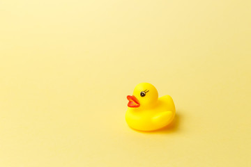 Yellow rubber duck on yellow background. Minimal style with colorful paper backdrop. Trendy colorful photo. Copy space. Minimal creative concept