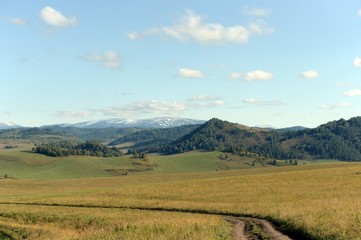 Fototapeta premium Russia.Western Siberia. The road in the foothills of the Altai mountains