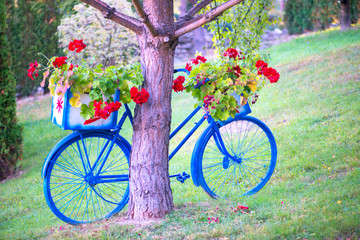 Fototapeta na wymiar Ornamental bicycle with flowers on it