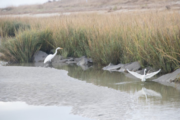 St Simon Island, Georgia