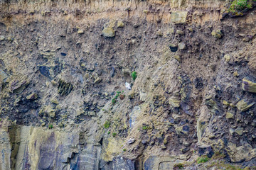 Vertical wall of a cliff in the coastal walk route from Doolin to the Cliffs of Moher, Wild Atlantic Way, spring day in county Clare in Ireland